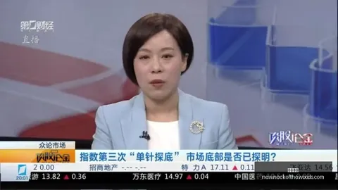 2026赛况解析：谢菲尔德联夺冠秘籍，南安普敦稳健退场攻略